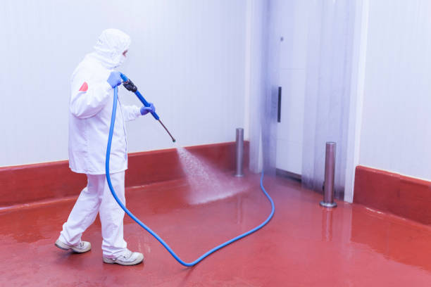 Reliable Gardner, KS Pressure Washing Solutions